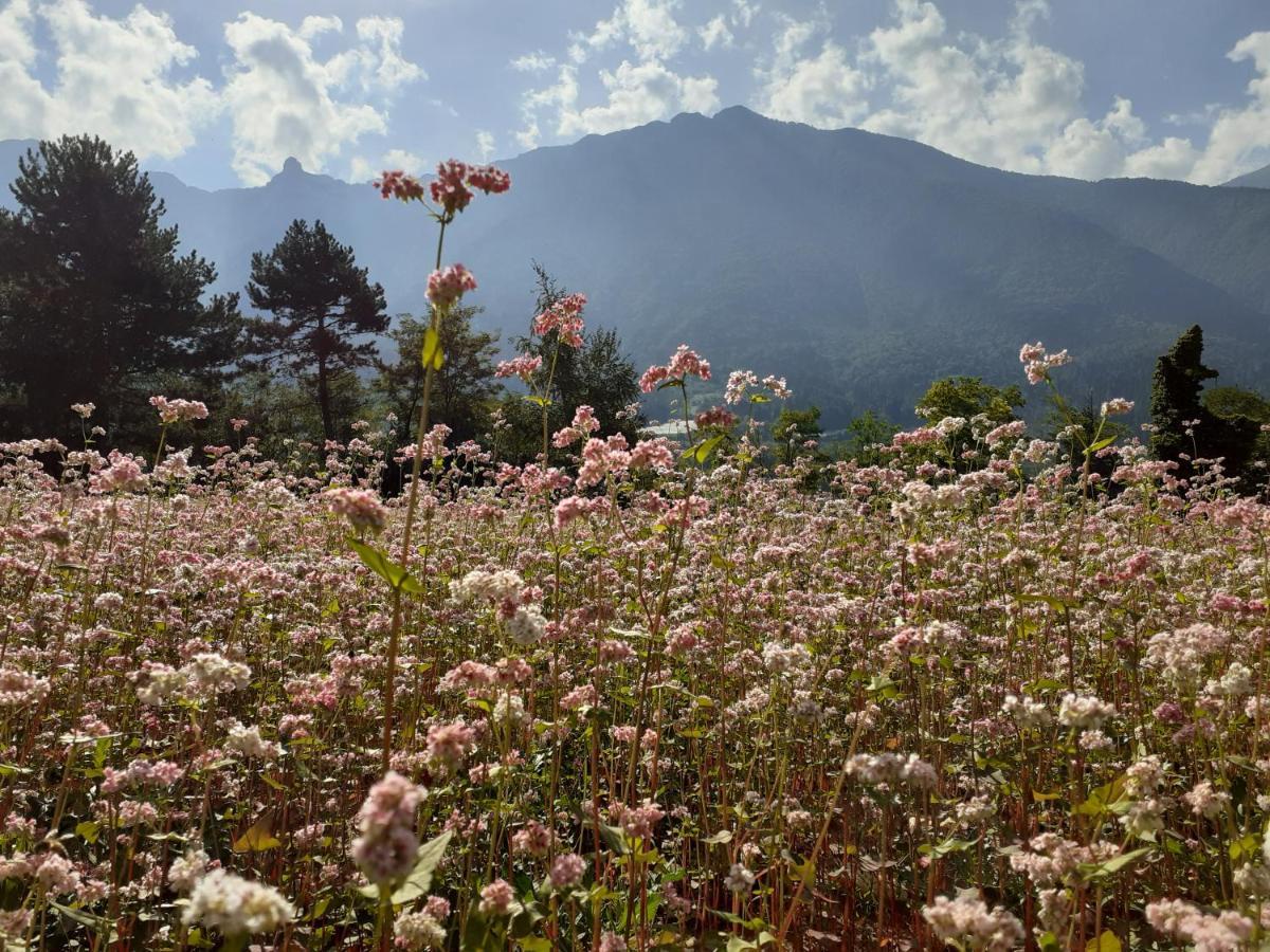 Coste del Gaggio - Country House B&B - Garda Trentino Drena Esterno foto