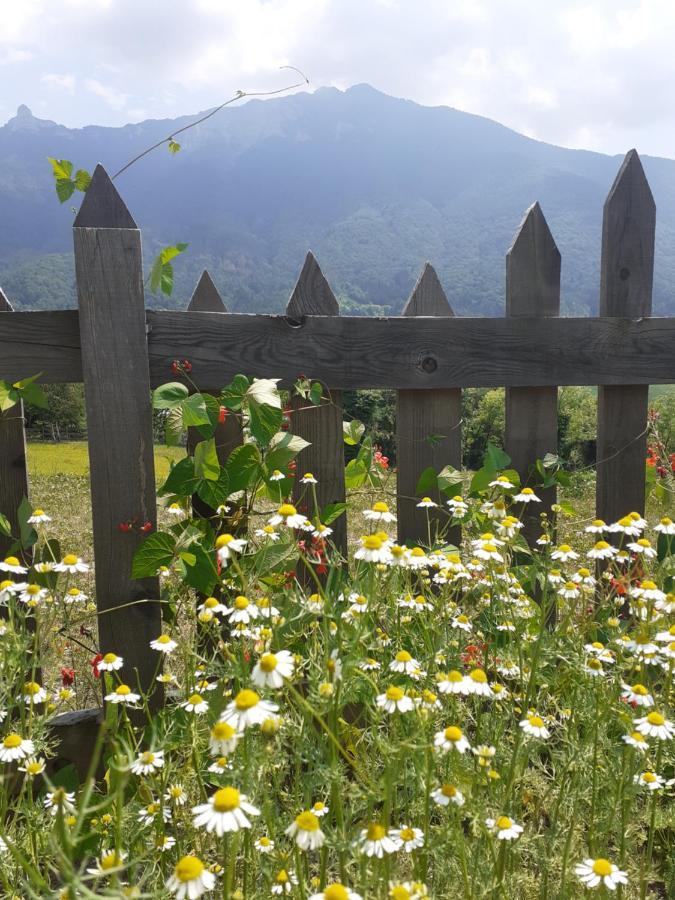 Coste del Gaggio - Country House B&B - Garda Trentino Drena Esterno foto