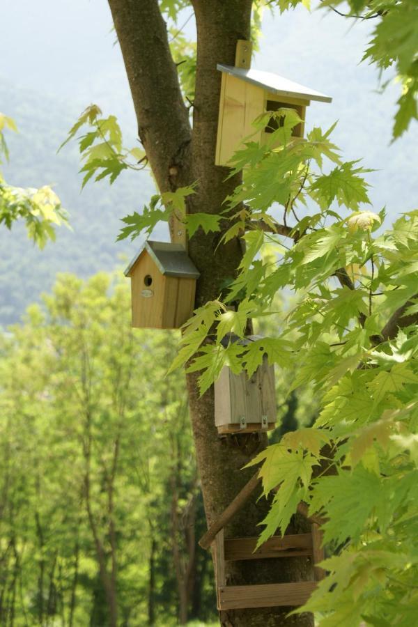 Coste del Gaggio - Country House B&B - Garda Trentino Drena Esterno foto